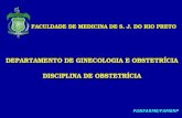 FACULDADE DE MEDICINA DE S. J. DO RIO PRETO DEPARTAMENTO DE GINECOLOGIA E OBSTETRÍCIA DISCIPLINA DE OBSTETRÍCIA DEPARTAMENTO DE GINECOLOGIA E OBSTETRÍCIA.