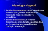 Histologia Vegetal Tecidos Meristemáticos: ainda não sofreram diferenciação (não tem especificidade funcional). Pode ser primário ou secundário. Tecidos.