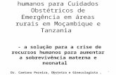 Alternativas de recursos humanos para Cuidados Obstétricos de Emergência em áreas rurais em Moçambique e Tanzania - a solução para a crise de recursos.