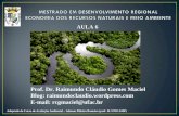 Adaptado do Curso de Avaliação Ambiental – Ademar Ribeiro Romeiro (prof. IE/UNICAMP) Prof. Dr. Raimundo Cláudio Gomes Maciel Blog: raimundoclaudio.wordpress.com.