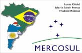 MERCOSUL INTRODUÇÃO Mercado Comum do Sul - é um bloco econômico criado em 1991, pela Argentina, Brasil, Paraguai e Uruguai baseado no Mercado Comum Europeu.