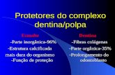 Protetores do complexo dentina/polpa EsmalteDentina -Parte inorgânica-96% -Fibras colágenas -Estrutura calcificada -Parte orgânica-35% -Estrutura calcificada.