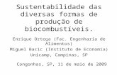 Sustentabilidade das diversas formas de produção de biocombustíveis. Enrique Ortega (Fac. Engenharia de Alimentos) Miguel Bacic (Instituto de Economia)