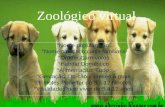Zoológico virtual °Nome popular:Cão °Nome científico:canis familiaris °Ordem:Carnívoros °Habitat:Doméstico °Alimentação: Tudo °Gestação: Do cão 2 meses.