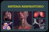 SISTEMA RESPIRATÓRIO 1 Prof.: Gilmar. Este sistema é responsável pelas trocas gasosas entre o nosso corpo e o ar. É formado pelos seguintes órgãos: Fossas.