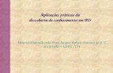 Material Elaborado pelos Profs. Jacques Robin e Francisco de A. T. de Carvalho – UFPE / CIn Aplicações práticas da descoberta de conhecimento em BD.