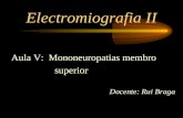 Electromiografia II Aula V: Mononeuropatias membro superior Docente: Rui Braga.
