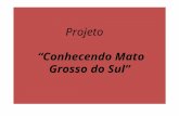 Projeto Conhecendo Mato Grosso do Sul. Projeto realizado pelos alunos da 2º fase da EJA na disciplina de Geografia, sob orientação do Profº Sévem Veloso.