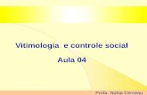 Vitimologia e controle social Aula 04 Profa. Núbia Cerceau.