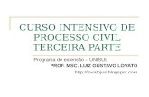 CURSO INTENSIVO DE PROCESSO CIVIL TERCEIRA PARTE Programa de extensão – UNISUL PROF. MSC. LUIZ GUSTAVO LOVATO .