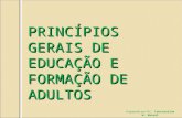 PRINCÍPIOS GERAIS DE EDUCAÇÃO E FORMAÇÃO DE ADULTOS Preparado por: Dr. Constantino W. Nassel.