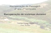Recuperação da Paisagem 4º ano 2º semestre Recuperação de sistemas dunares Thomas Panagopoulos Prof. Auxiliar.