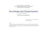 Universidade Nova de Lisboa Faculdade de Ciências Socais e Humanas Departamento de Sociologia Sociologia das Organizações (cadeira semestral) - Sinopse.