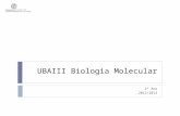 UBAIII Biologia Molecular 1º Ano 2012/2013. 17Jan/2013MJC-T14 Sumário: D. Técnicas de Biologia Molecular em Ciências da Saúde Capítulo XIV. Técnicas básicas.