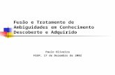 Fusão e Tratamento de Ambiguidades em Conhecimento Descoberto e Adquirido Paulo Oliveira FEUP, 17 de Dezembro de 2002.
