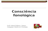 Consciência fonológica Profª. Edimar Roberto L Sartoro Pedagogo e Mestre em Psicologia.