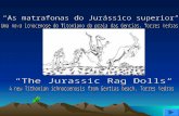 Grande número de pegadas e pistas atribuídas a dinossáurios tem sido recentemente descoberto, descrito e analisado, constituindo uma ferramenta essencial.