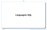 SQL Versão 1.4 ©Ana Paula Afonso/Ana Lucas/Paulo Batista/Wilson Lucas - 2007 Linguagem SQL.