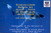 Biodiversidade Marinha dos Açores – Ponto de encontro de várias faunas João Pedro Barreiros Comemorações do Dia Nacional do Mar Centro Multimédia da Escola.