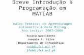 Breve Introdução à Programação em MATLAB Aulas Práticas de Aprendizagem Automática & Data Mining Ano Lectivo 2007/2008 Susana Nascimento Joaquim F. Silva.