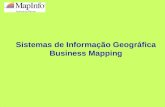 Sistemas de Informação Geográfica Business Mapping.