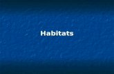 Habitats. HABITATS NATURAIS HABITAT NATURAL Espaço onde os seres vivos vivem, encontram alimento, abrigo e condições para se reproduzirem