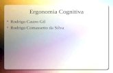 Ergonomia Cognitiva Rodrigo Castro Gil Rodrigo Comassetto da Silva