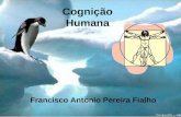 Cognição Humana Francisco Antonio Pereira Fialho.