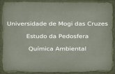 Universidade de Mogi das Cruzes Estudo da Pedosfera Química Ambiental.