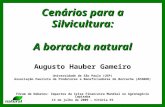 Cenários para a Silvicultura: A borracha natural Augusto Hauber Gameiro Universidade de São Paulo (USP) Associação Paulista de Produtores e Beneficiadores.