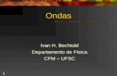1 Ondas Ivan H. Bechtold Departamento de Física CFM – UFSC.