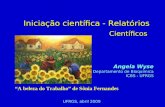 Iniciação científica - Relatórios Científicos Angela Wyse Departamento de Bioquímica ICBS - UFRGS UFRGS, abril 2009 A beleza do Trabalho de Sônia Fernandes.