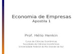 Economia de Empresas Apostila 1 Prof. Hélio Henkin Curso de Ciências Econômicas Faculdade de Ciências Econômicas Universidade Federal do Rio Grande do.