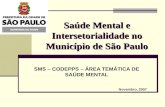 Saúde Mental e Intersetorialidade no Município de São Paulo SMS – CODEPPS – ÁREA TEMÁTICA DE SAÚDE MENTAL Novembro, 2007.