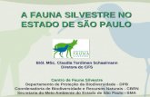A FAUNA SILVESTRE NO ESTADO DE SÃO PAULO Biól. MSc. Claudia Terdiman Schaalmann Diretora do CFS Centro de Fauna Silvestre Departamento de Proteção da Biodiversidade.