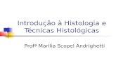 Introdução à Histologia e Técnicas Histológicas Profª Marília Scopel Andrighetti.