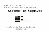 Prof. João Paulo de Brito Gonçalves Sistema de Arquivos Campus - Cachoeiro Curso Técnico de Informática.