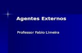 Agentes Externos Professor Fabio Limeira. Marítima.