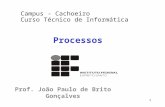 1 Processos Prof. João Paulo de Brito Gonçalves Campus - Cachoeiro Curso Técnico de Informática.