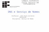 DNS e Serviço de Nomes Professor: João Paulo de Brito Gonçalves Disciplina: Serviço de Redes Campus Cachoeiro Curso Técnico em Informática.