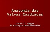 Anatomia das Valvas Cardíacas Thales C. Baggio R3 Cirurgia Cardiovascular.