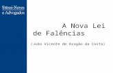 A Nova Lei de Falências (João Vicente de Aragão da Costa)