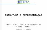 ESTRUTURA E REPRESENTAÇÃO Prof. M.Sc. Fábio Francisco da Costa Fontes Março - 2009.