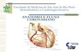 Faculdade de Medicina de São José do Rio Preto Hemodinâmica e Cardiologia Invasiva ANATOMIA E FLUXO CORONARIANO.