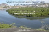UNIVERSIDADE FEDERAL DO ESPÍRITO SANTO - UFES CENTRO DE CIÊNCIAS HUMANAS E NATURAIS – CCHN DEPARTAMENTO DE GEOGRAFIA DEFESA DE MONOGRAFIA JANEIRO DE 2004.