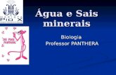 Água e Sais minerais Biologia Professor PANTHERA.