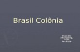 Brasil Colônia Evandro Albuquerque de Andrade. Modelos de colonização da América Modelo Português Modelo Português Modelo Espanhol Colônia de Exploração.