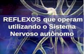 REFLEXOS que operam utilizando o Sistema Nervoso autônomo REFLEXOS que operam utilizando o Sistema Nervoso autônomo.