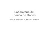 Laboratório de Banco de Dados Profa. Marilde T. Prado Santos.
