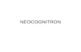 NEOCOGNITRON. Introdução Arquiteturas como perceptron multicamadas tendem a ser de aplicação genérica. Em contraste, o neocognitron é uma rede proposta.